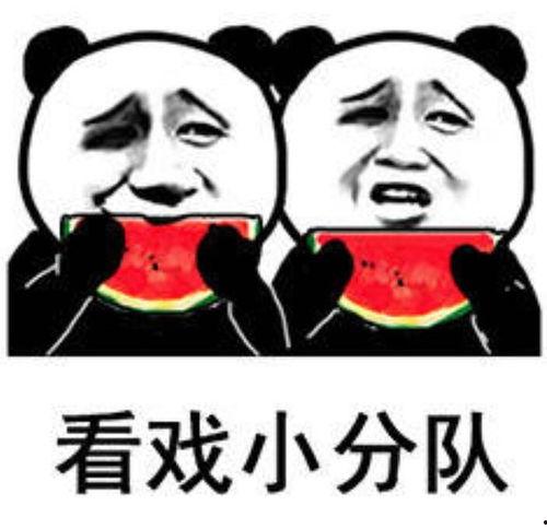 吃瓜娱乐圈的表情包